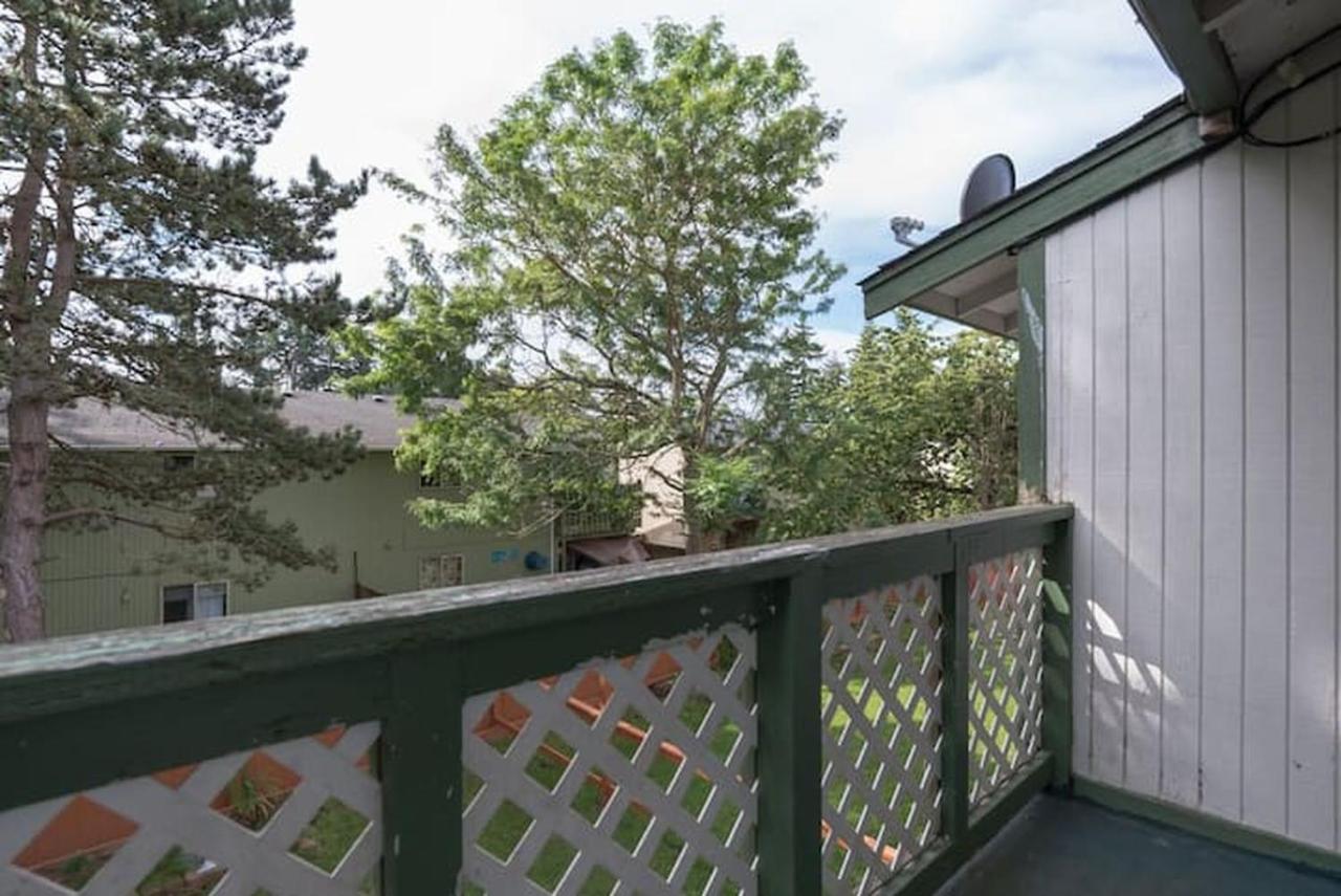 Apartment Contemporary, Marine 2bd/1ba C In Kent
